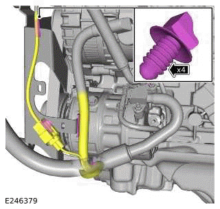 Drive Plate - Ingenium I4 2.0l Petrol